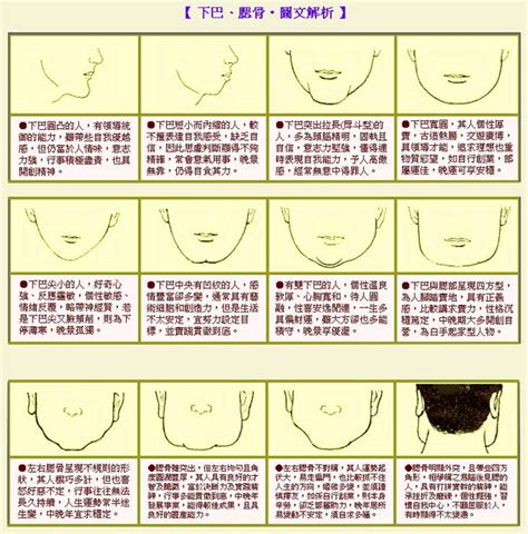 下巴長面相|【下巴長面相】下巴長的面相大公開：財運亨通、貴人扶植，福氣。